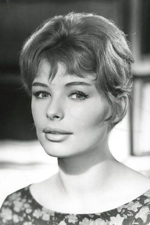 Vivi